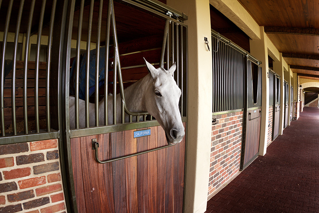 Stalls