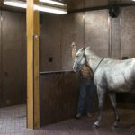COLLIER WASH & TACK STALLS